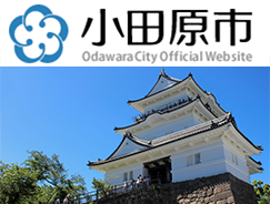 小田原市の自然災害や罹災状況について