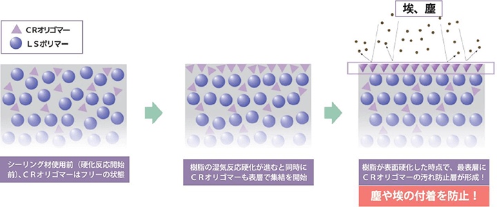 オートンイクシード